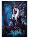 Sylvanas (World of Warcraft) – Tableau PVC | Namwhan